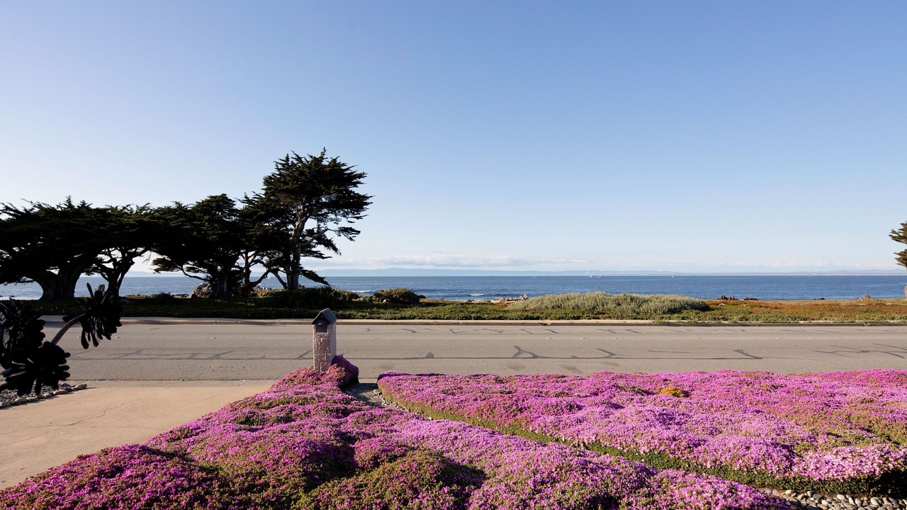 Photo of Outdoor in Pacific Grove