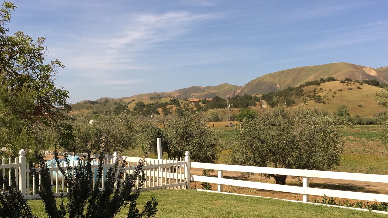 Photo of Outdoor in Paicines