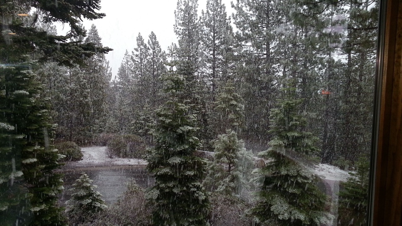 Photo of Others in Tahoma
