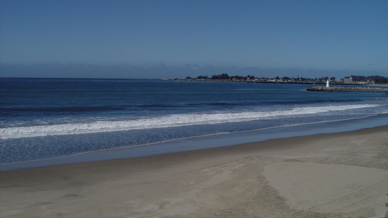 Photo of Others in Eastside Santa Cruz