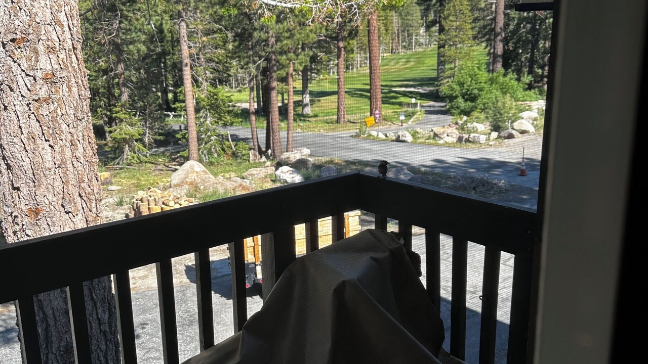 Photo of Outdoor in Majestic Pines