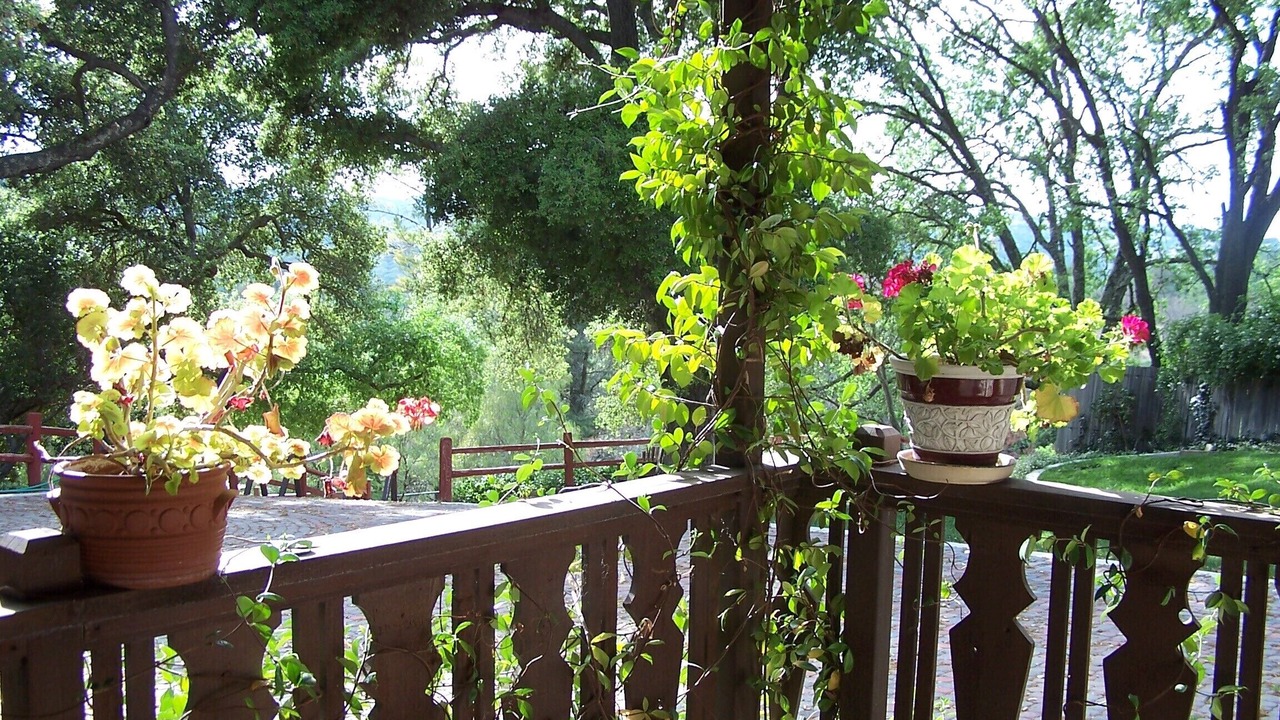 Photo of Outdoor in Atascadero