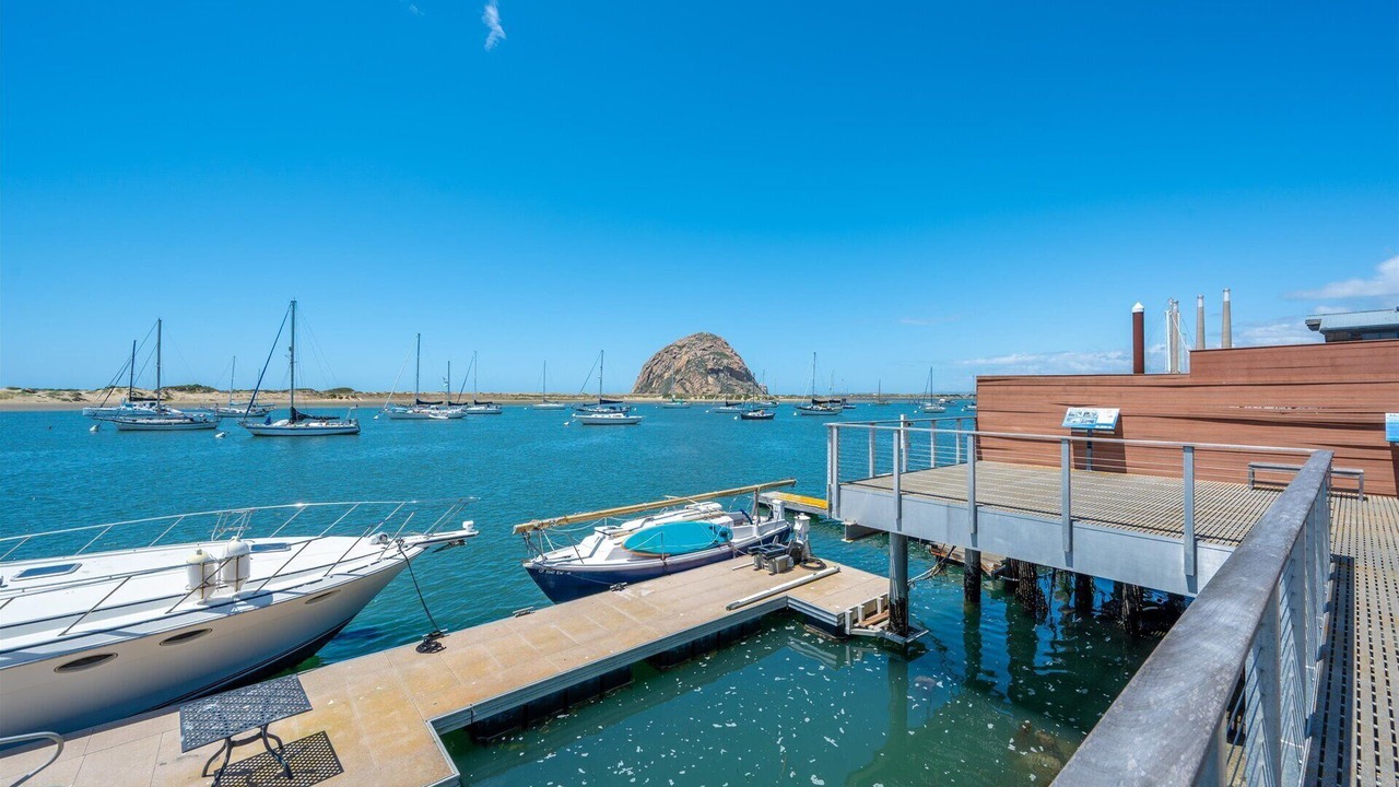 Photo of Others in Morro Bay