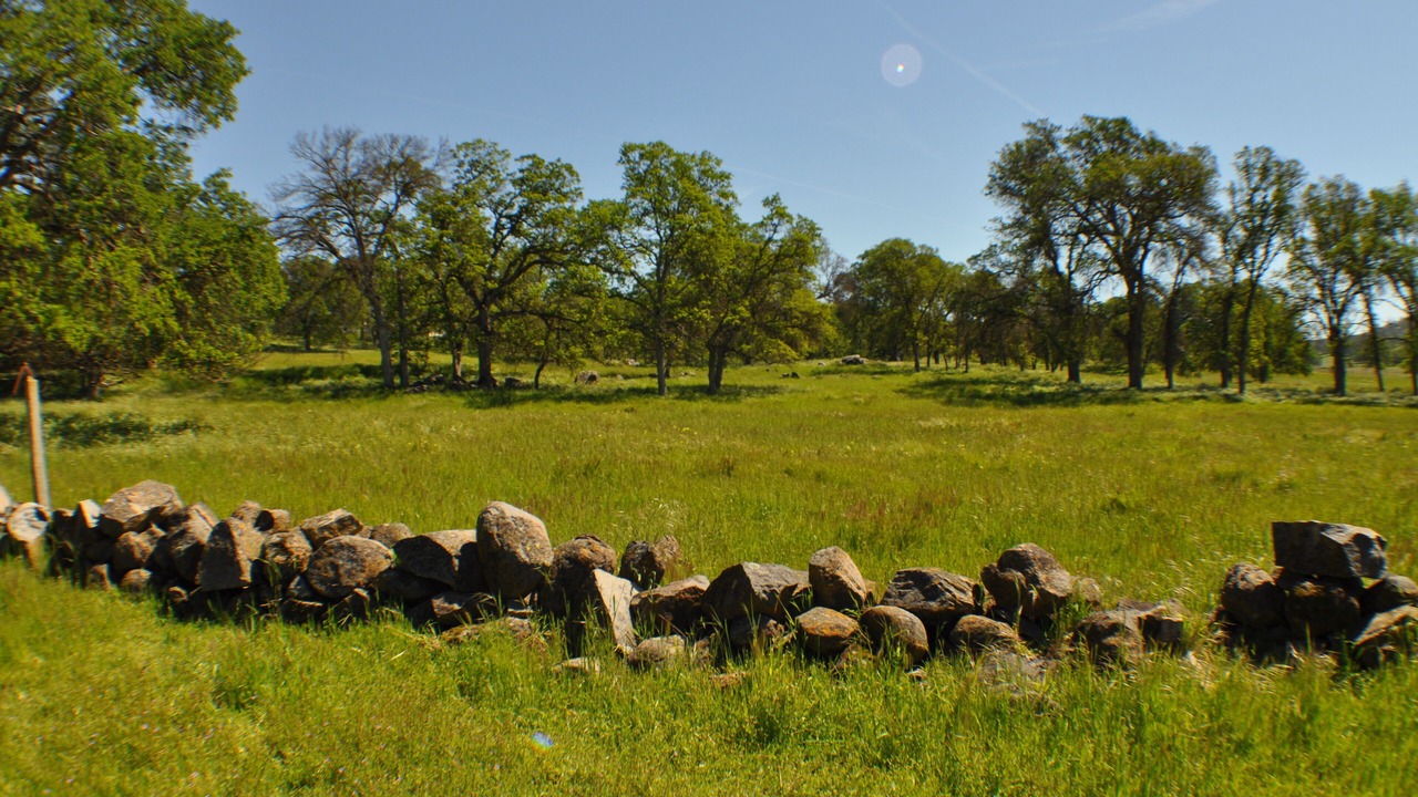 Photo of Others in Catheys Valley