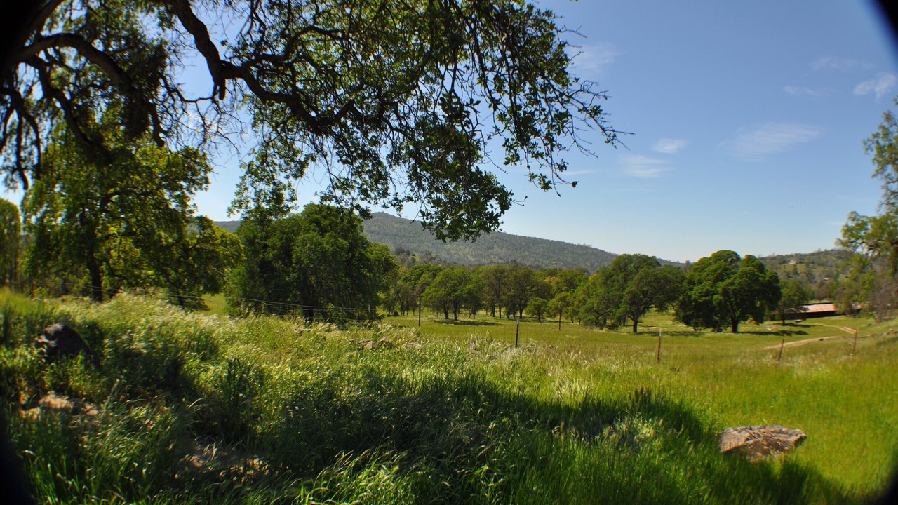 Photo of Others in Catheys Valley