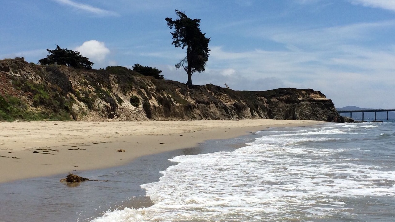 Photo of Others in Carpinteria