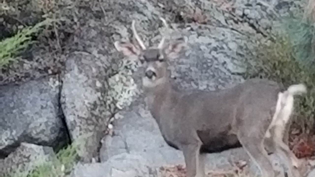 Photo of Outdoor in Sonora