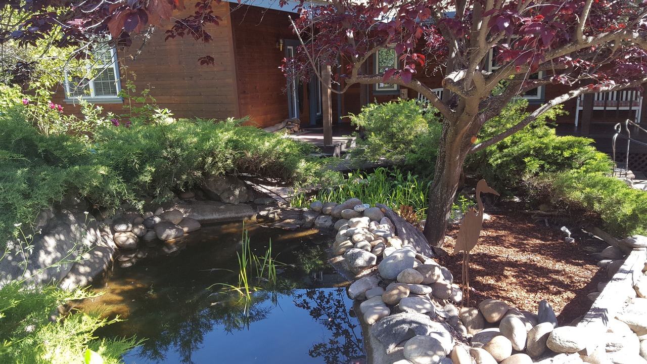 Photo of Outdoor in Sonora