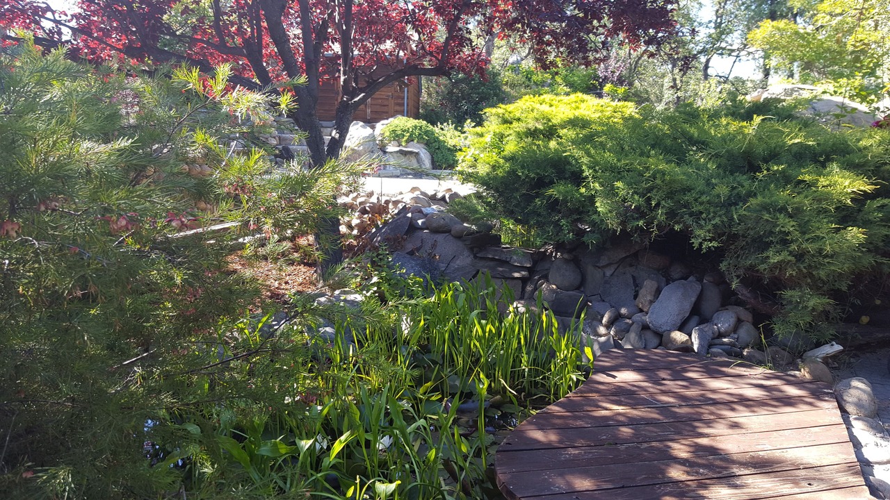 Photo of Outdoor in Sonora