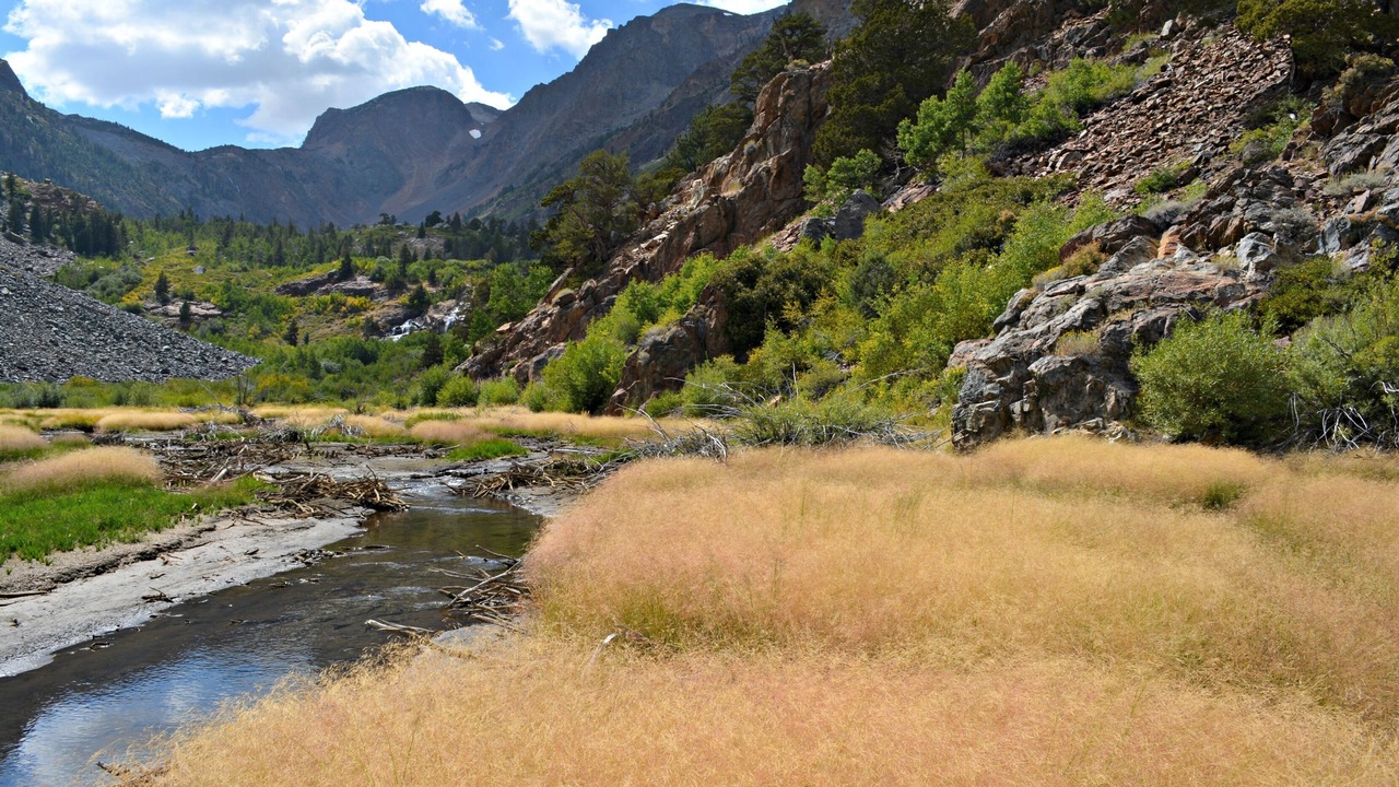 Photo of Outdoor in Mammoth Lakes