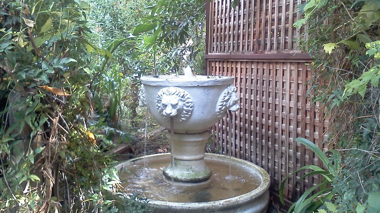 Photo of Others in San Rafael
