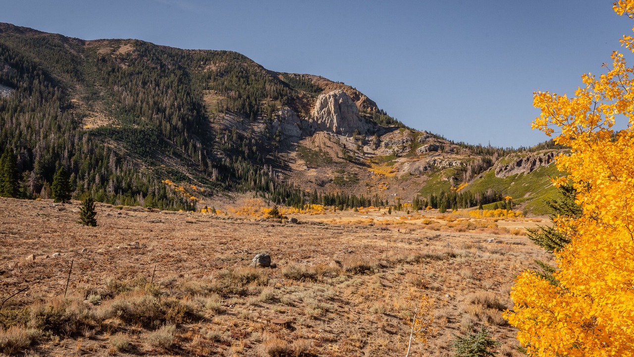 Photo of Others in Mammoth Lakes