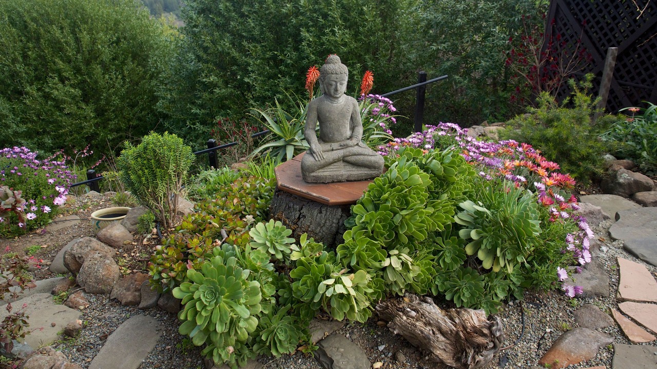 Photo of Outdoor in Wilder