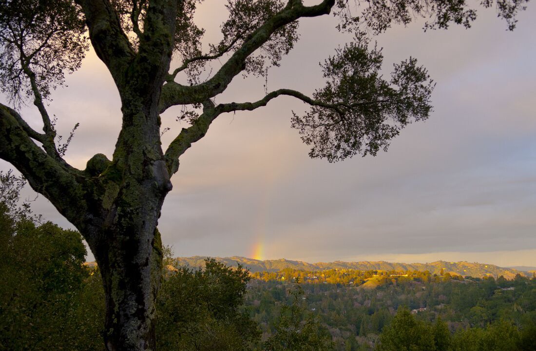 Photo of Outdoor in Wilder