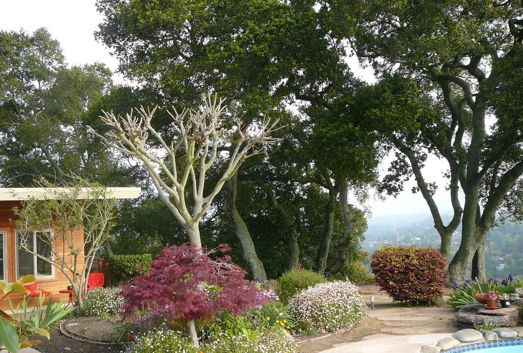 Photo of Outdoor in Wilder