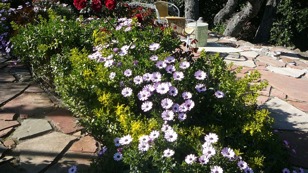 Photo of Patio Balcony in Wilder