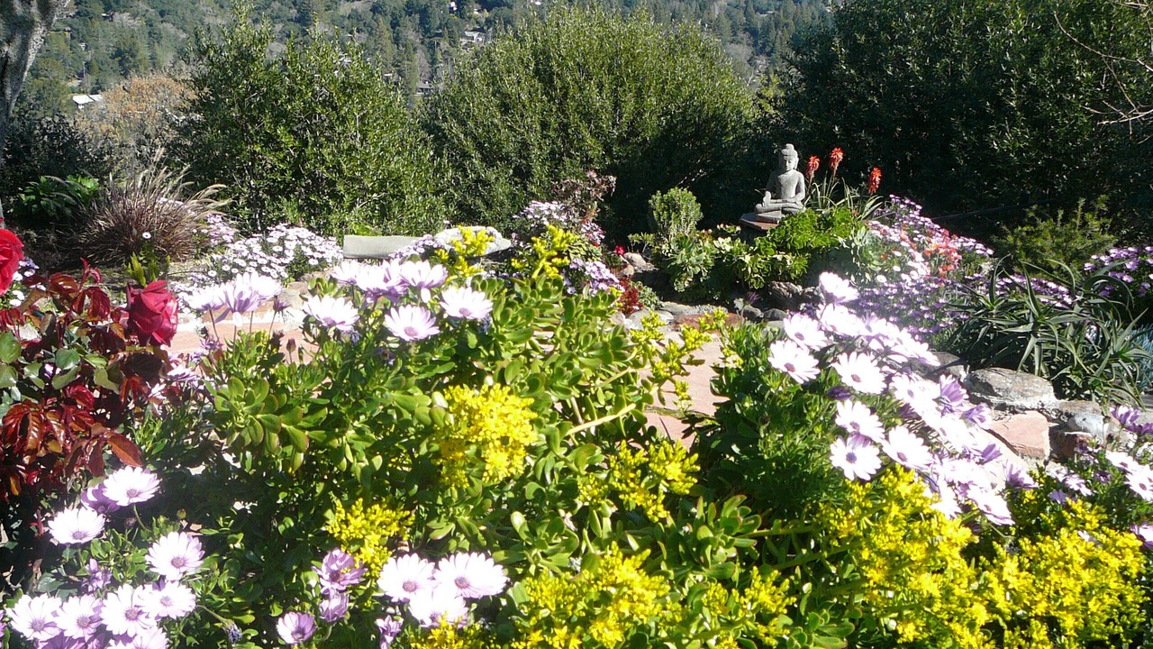 Photo of Outdoor in Wilder