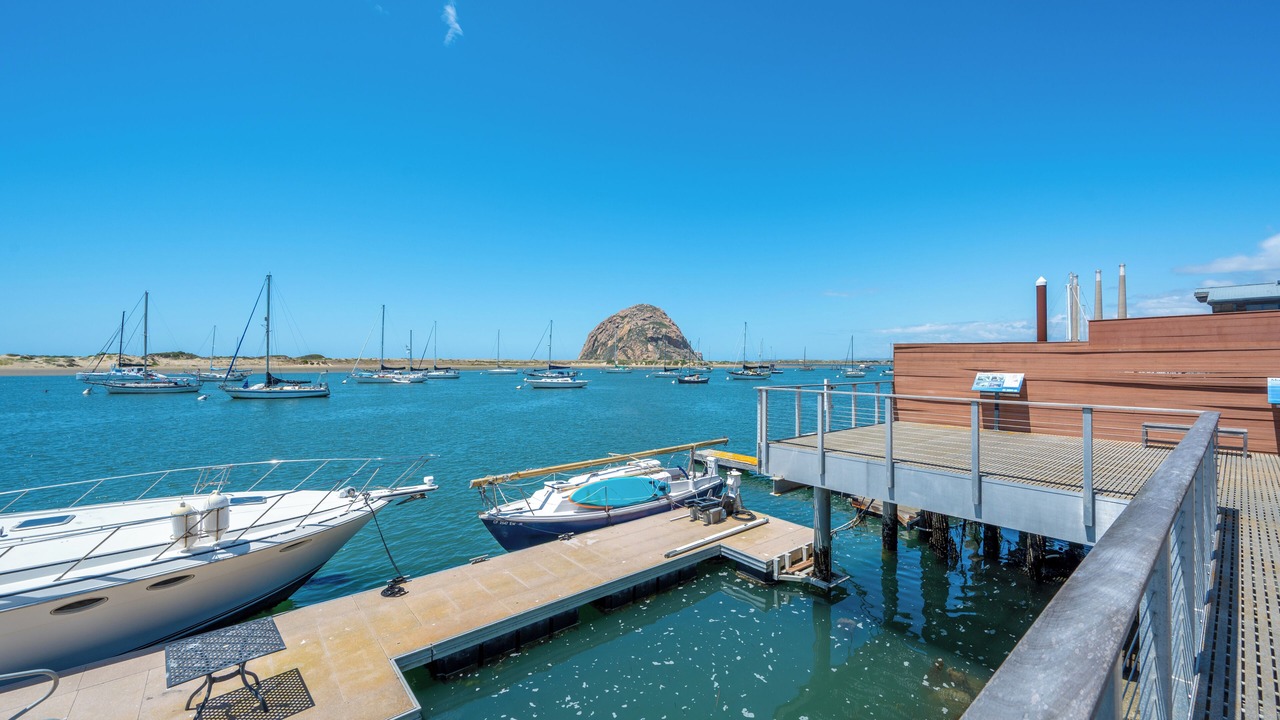 Photo of Others in Morro Bay