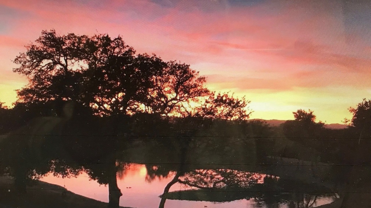 Photo of Others in Paso Robles