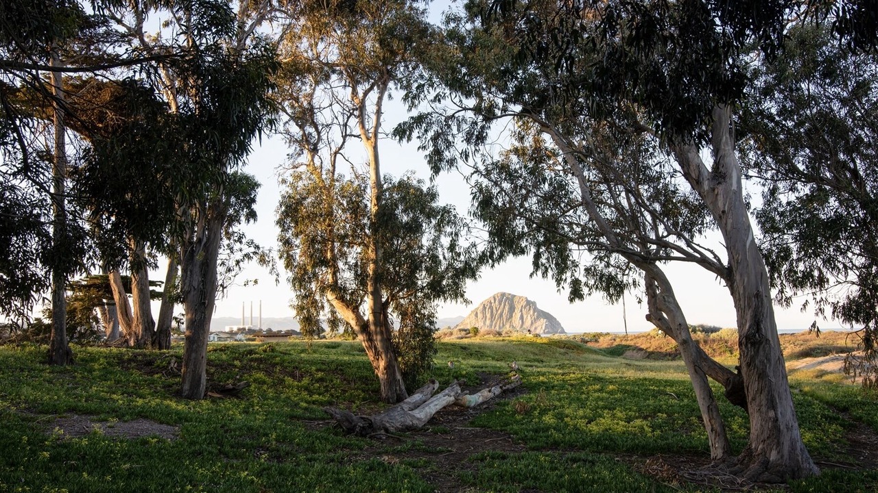 Photo of Others in Morro Bay