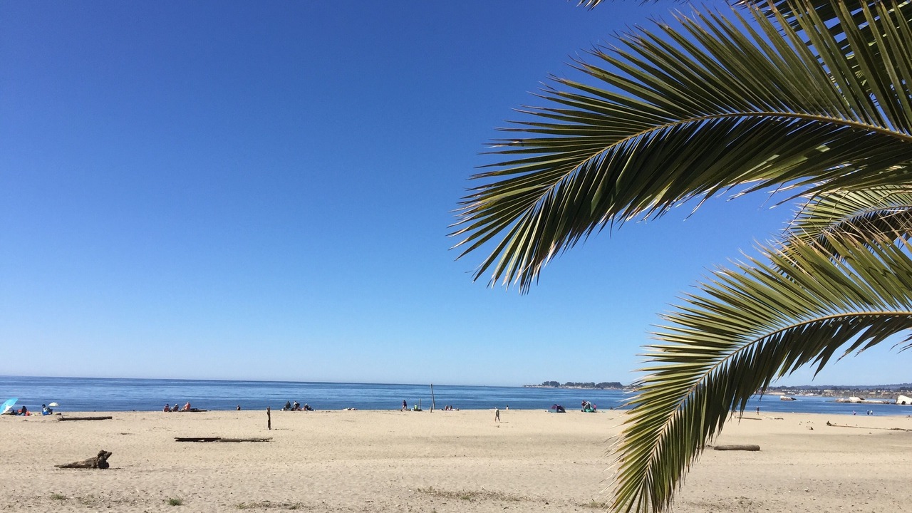Photo of Others in Rio del Mar