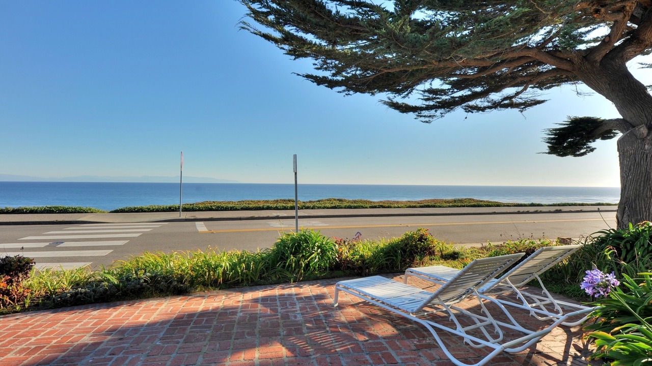 Photo of Others in Westside Santa Cruz
