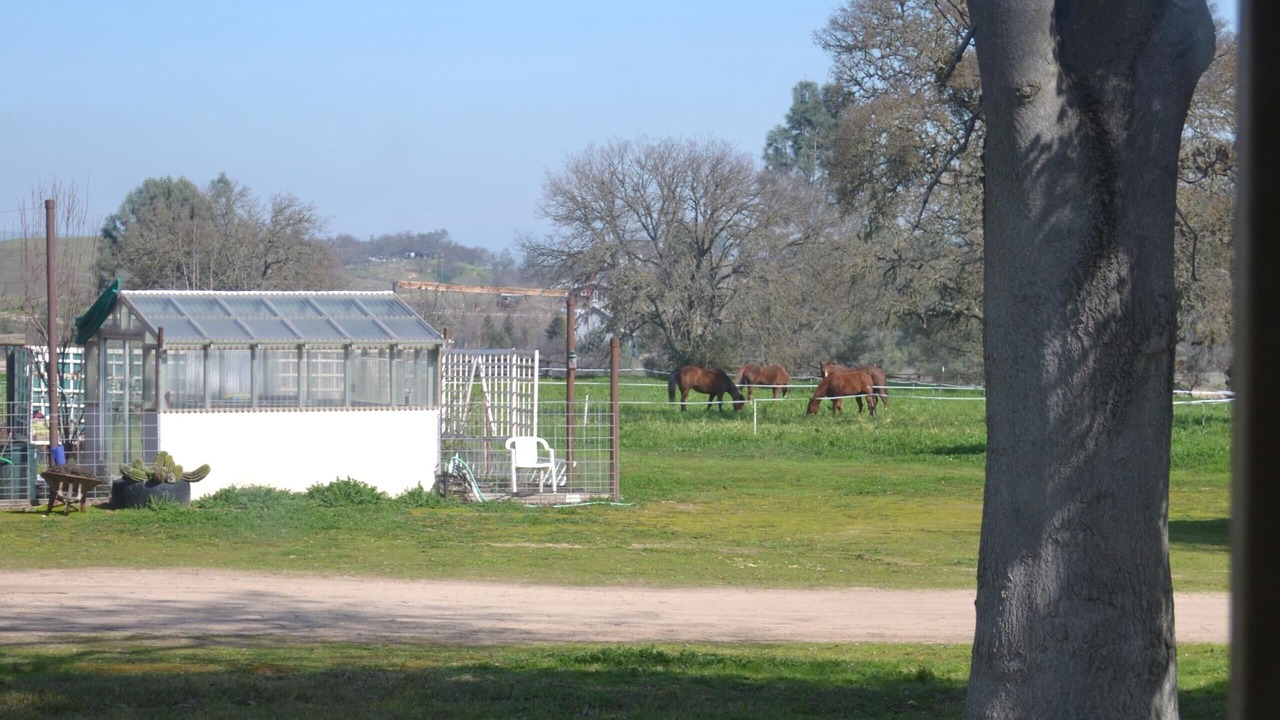 Photo of Others in Creston