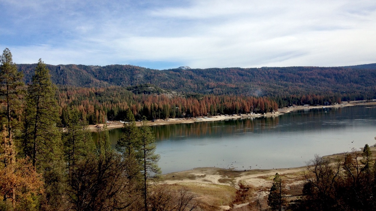 Photo of Outdoor in Oakhurst