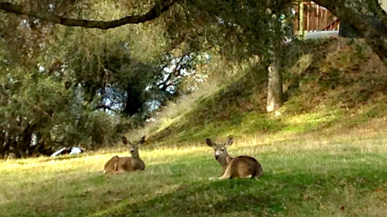Photo of Others in Oakhurst