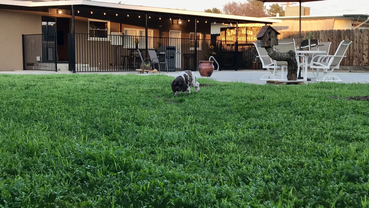 Photo of Outdoor in Tulare