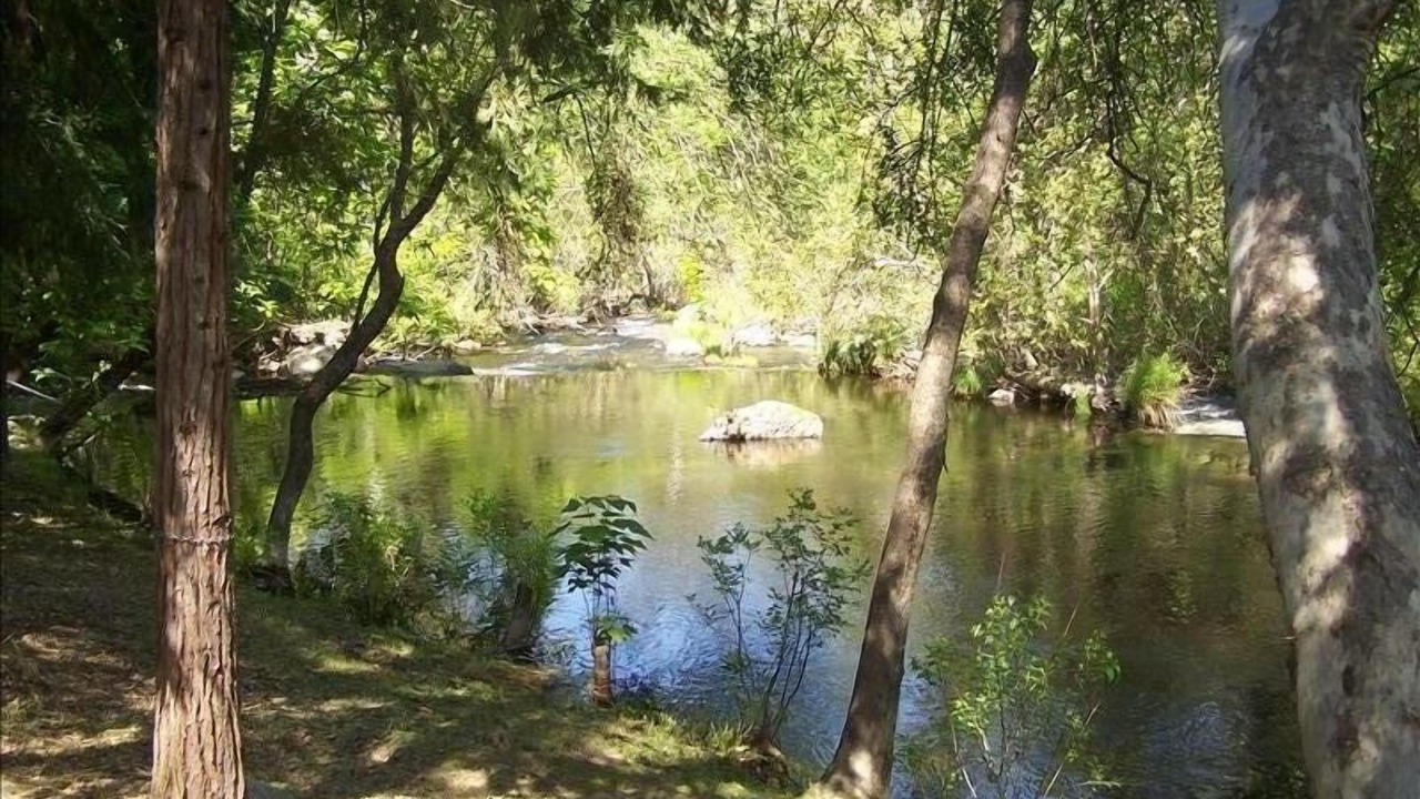 Photo of Others in Kaweah