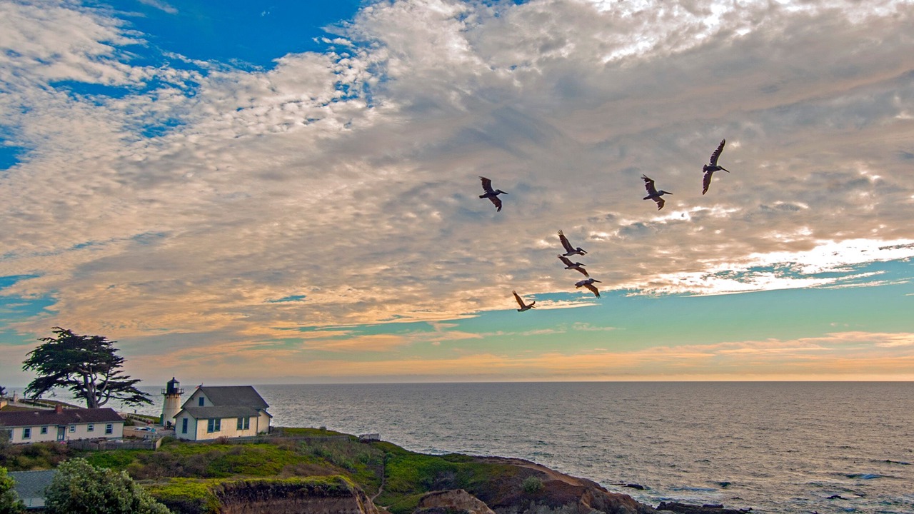 Photo of Others in Montara