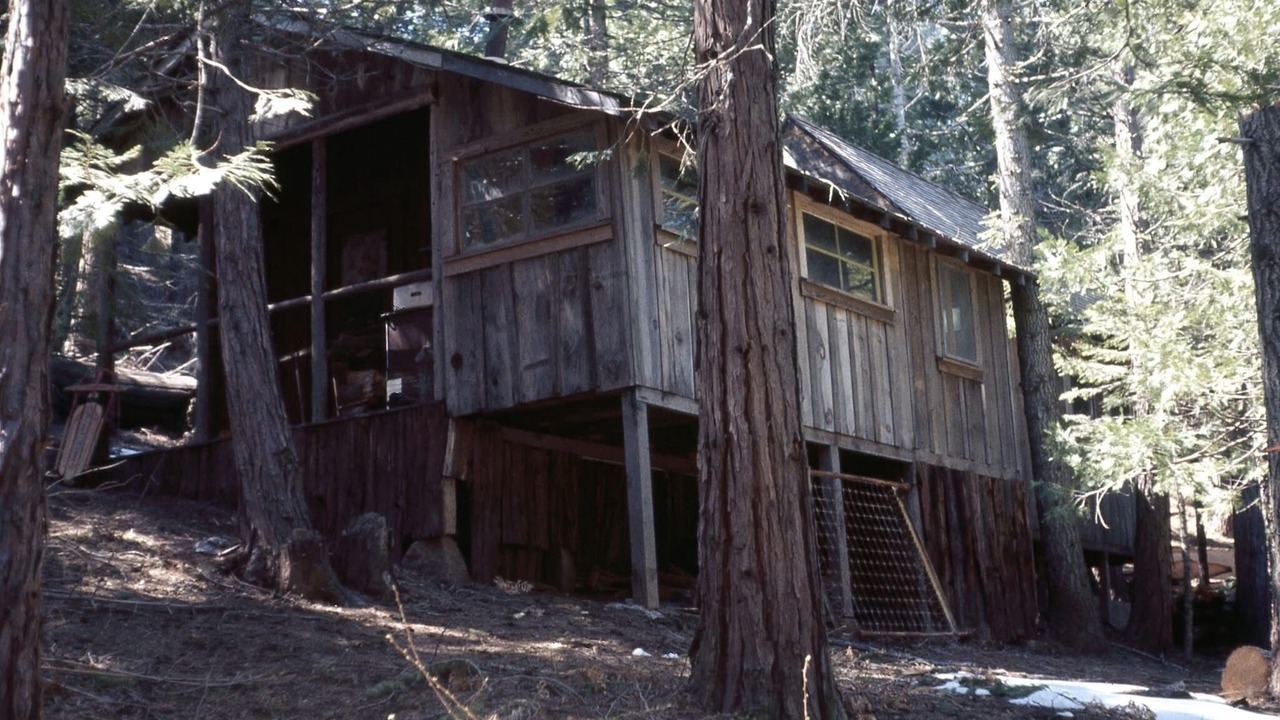 Photo of Outdoor in Posey