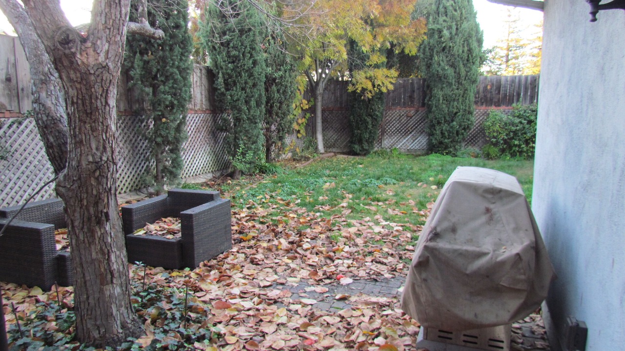 Photo of Others in Old Mountain View