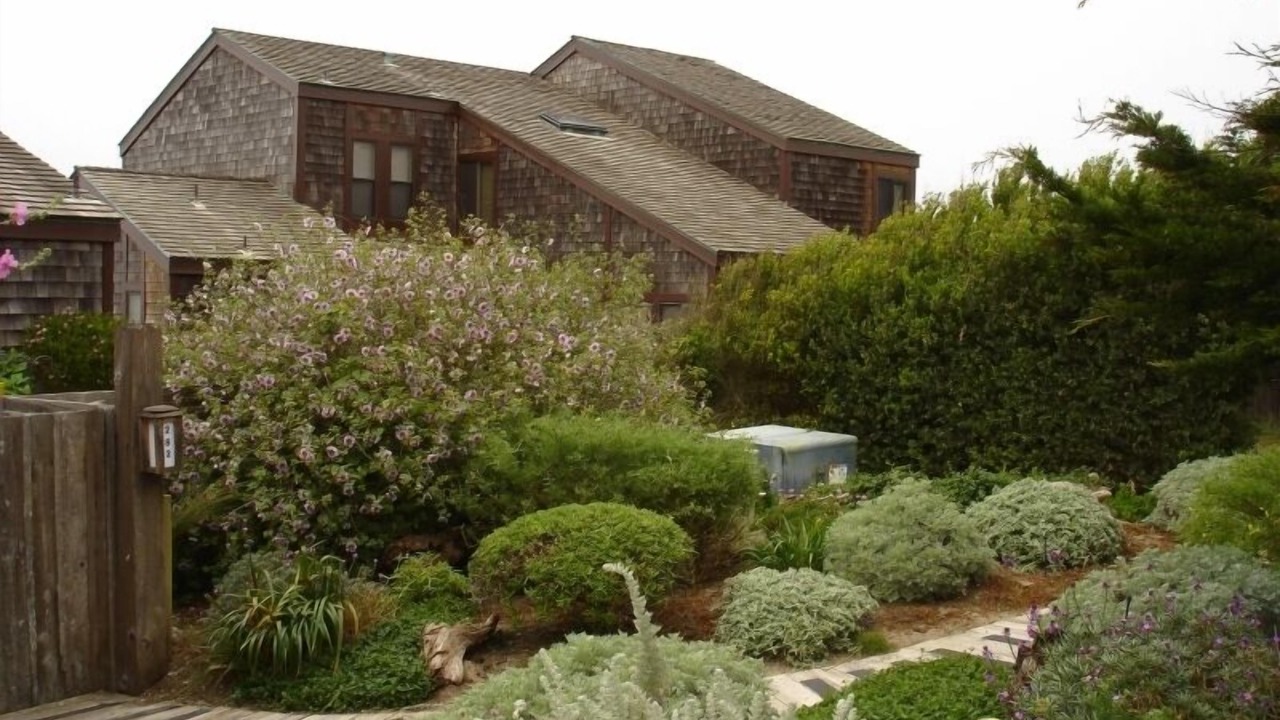 Photo of Others in Castroville