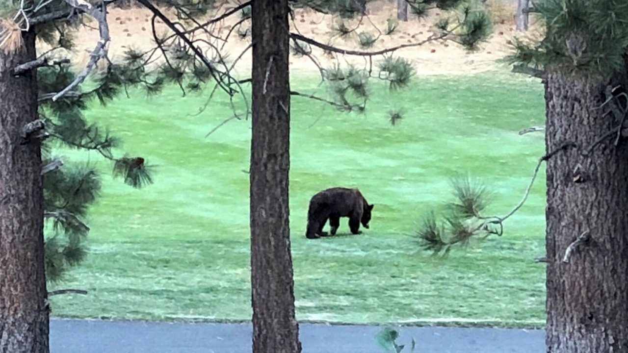 Photo of Outdoor in Mammoth Lakes