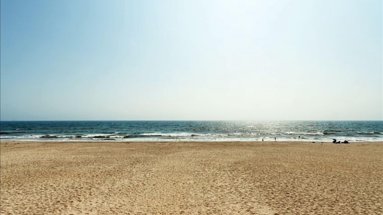Photo of Others in Oxnard Shores
