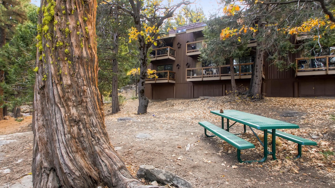 Photo of Outdoor in Yosemite West