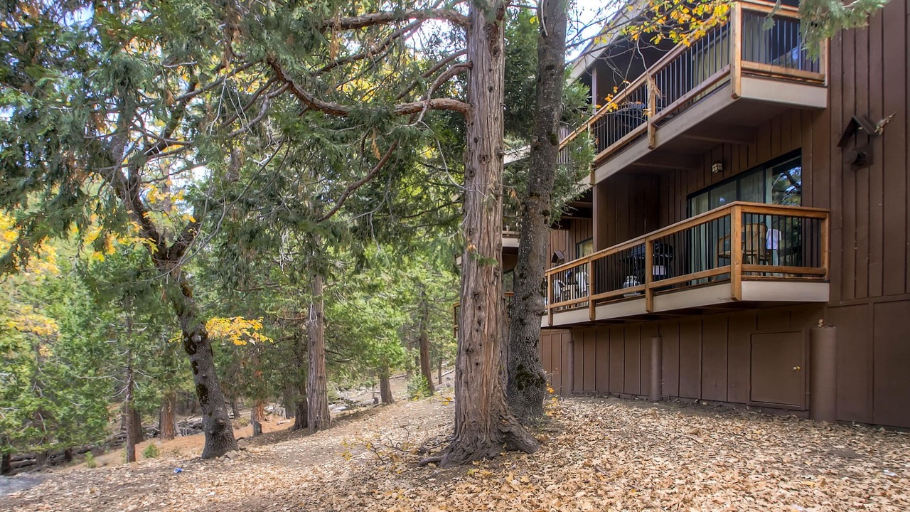 Photo of Outdoor in Yosemite West