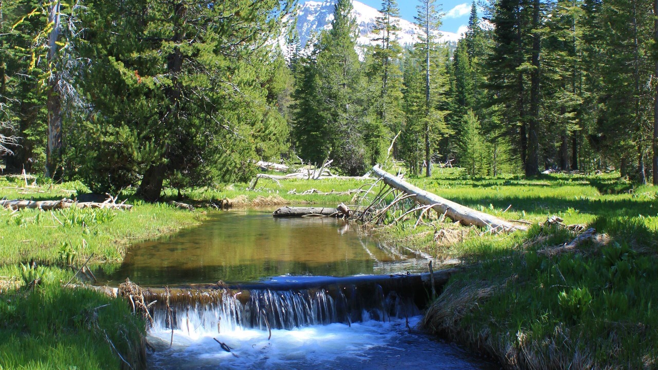 Photo of Outdoor in Shingletown