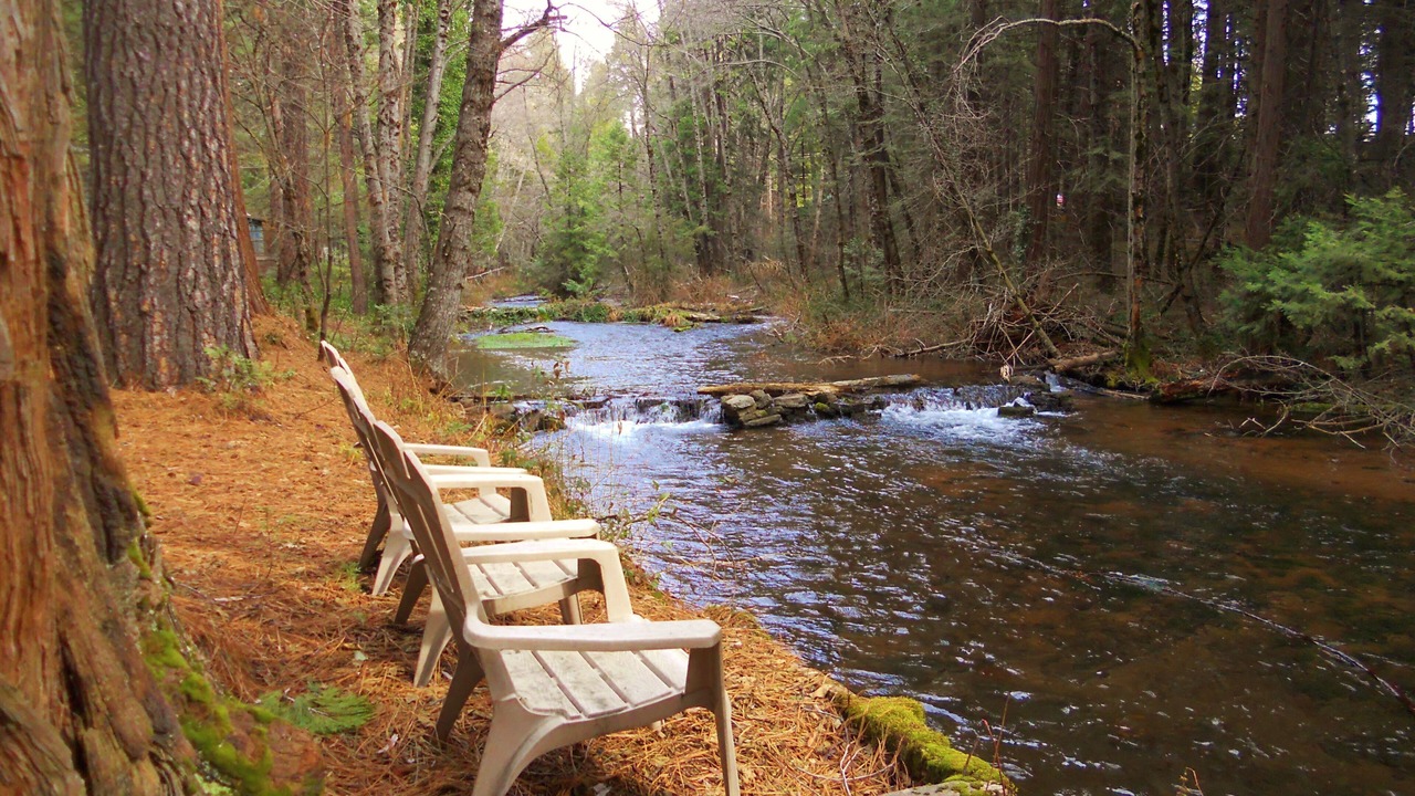 Photo of Outdoor in Shingletown