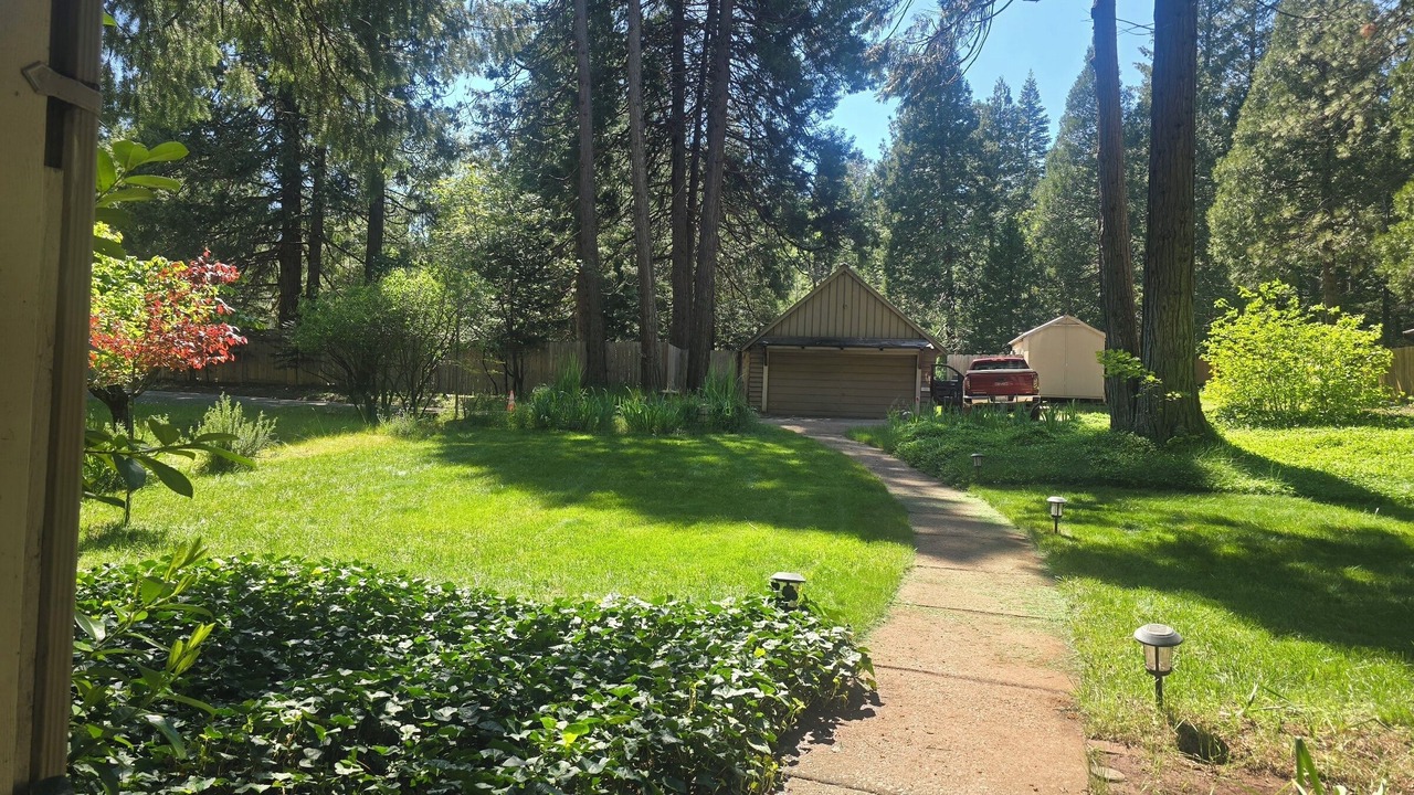 Photo of Outdoor in Shingletown