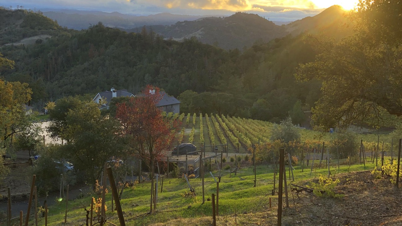 Photo of Others in Napa County
