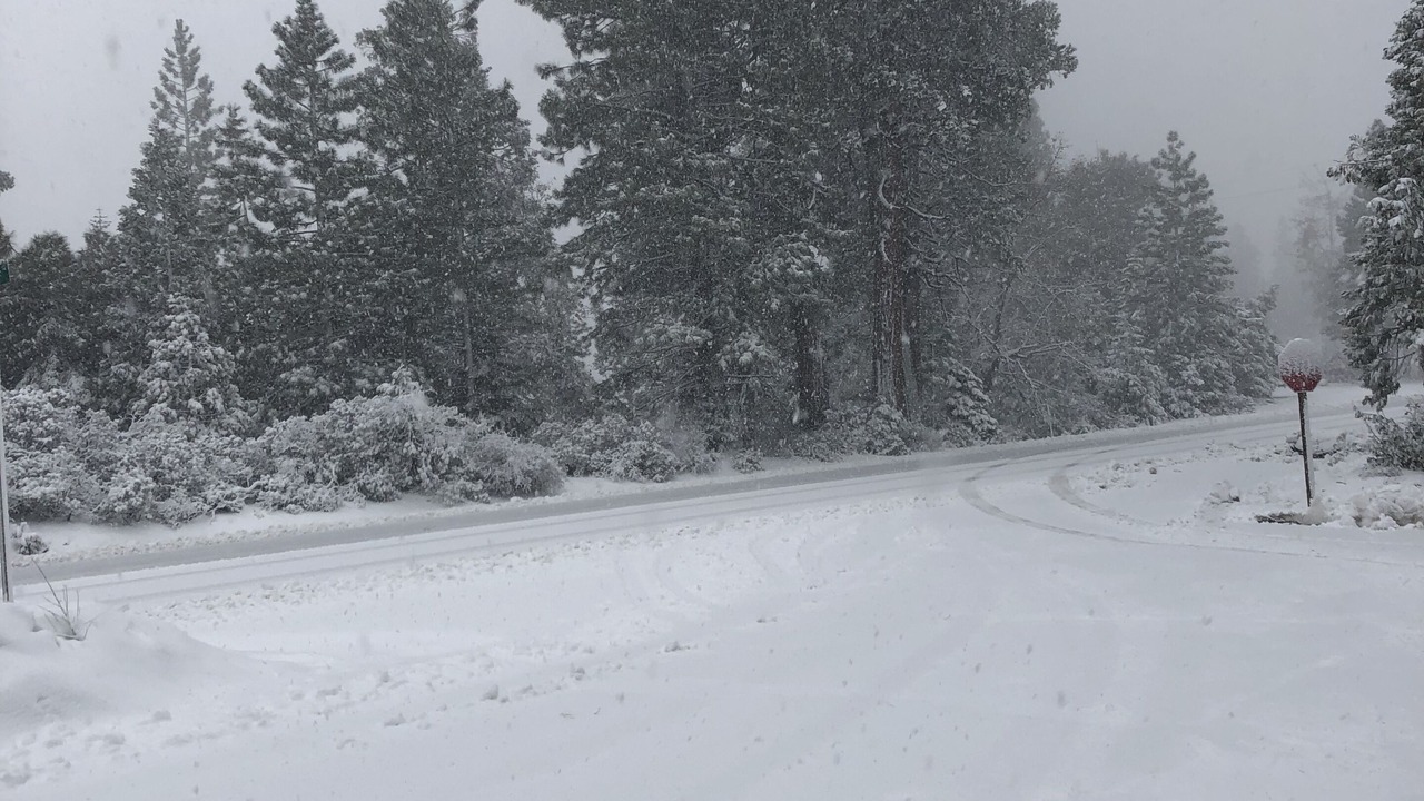 Photo of Outdoor in Cold Springs