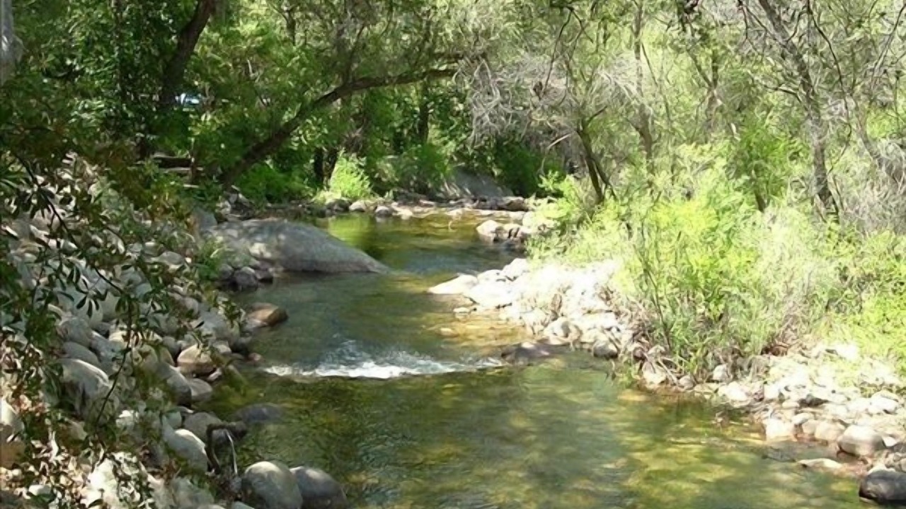 Photo of Others in Three Rivers