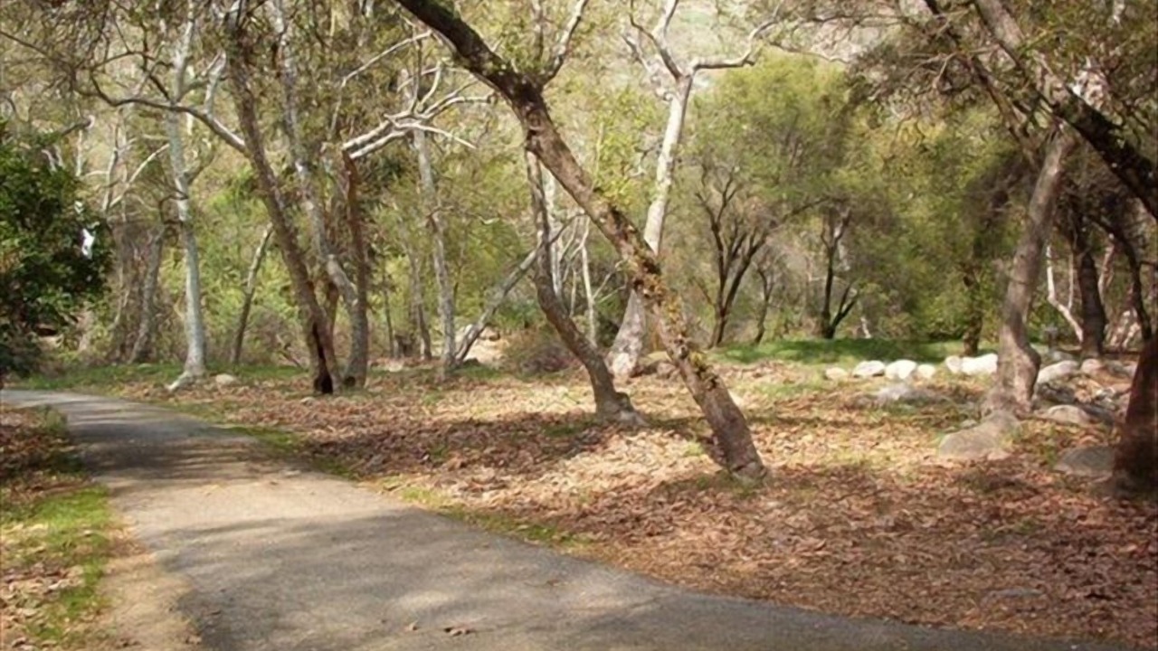 Photo of Others in Three Rivers