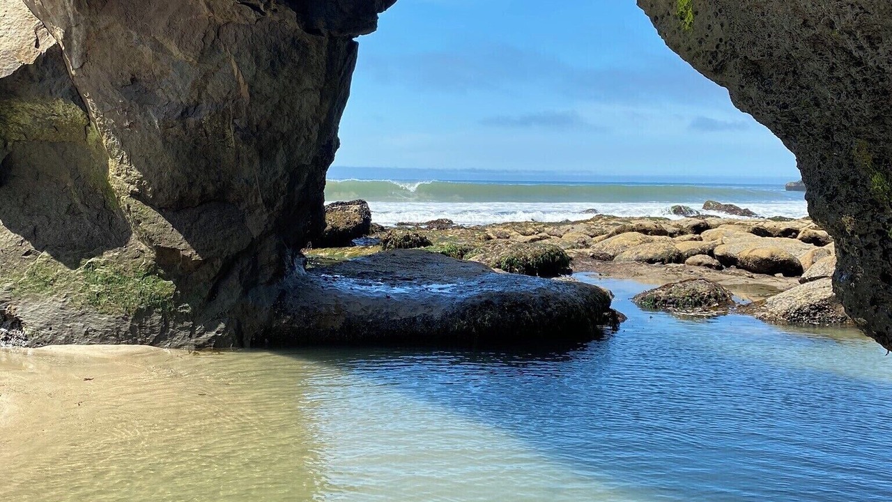 Photo of Others in Westside Santa Cruz