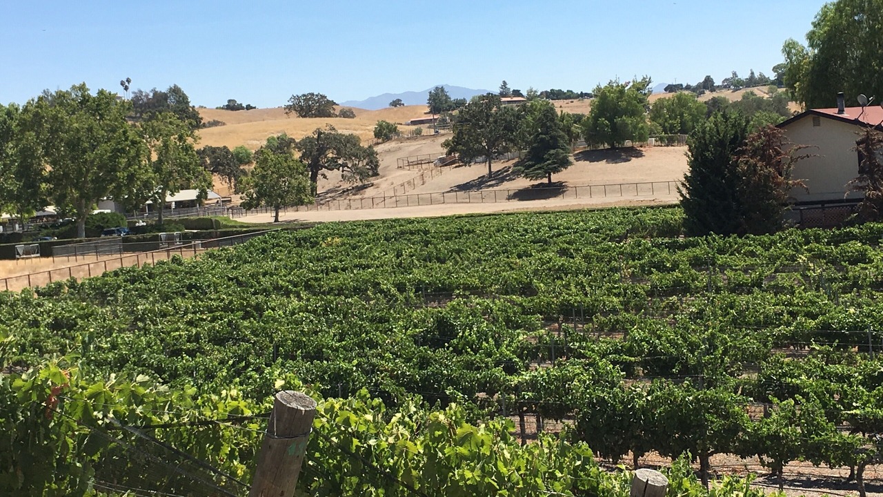 Photo of Others in Los Olivos