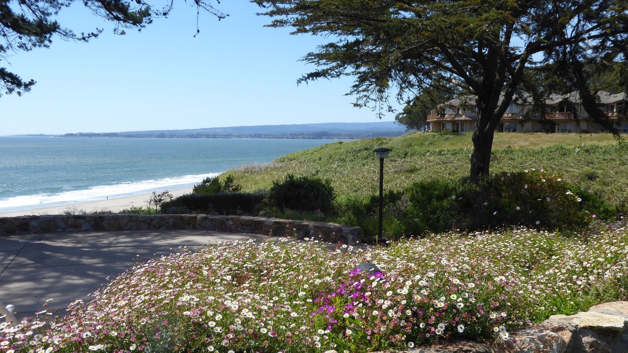 Photo of Others in Rio del Mar