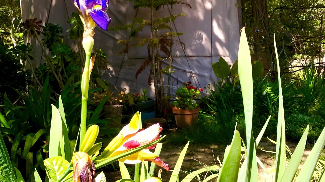 Photo of Outdoor in Carmel